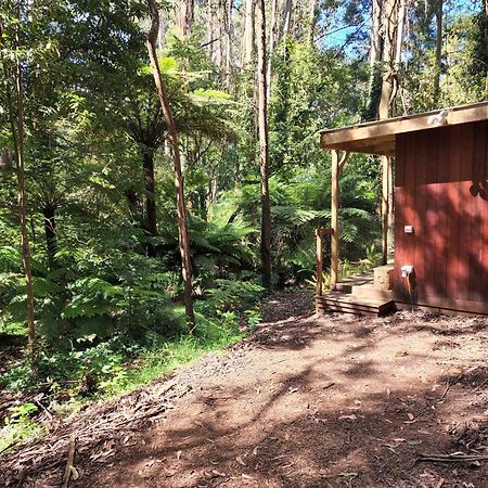 The Fernglen Forest Retreat Mount Dandenong Exteriör bild