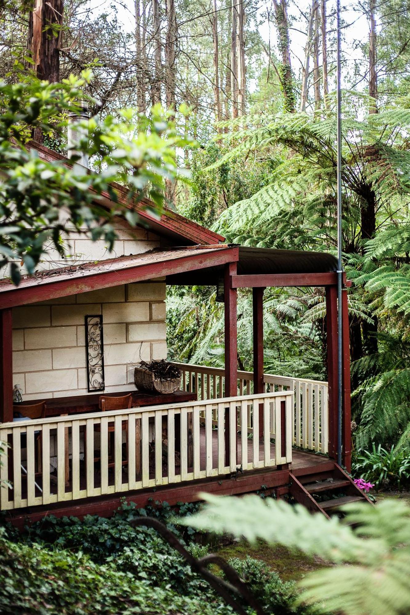 The Fernglen Forest Retreat Mount Dandenong Exteriör bild