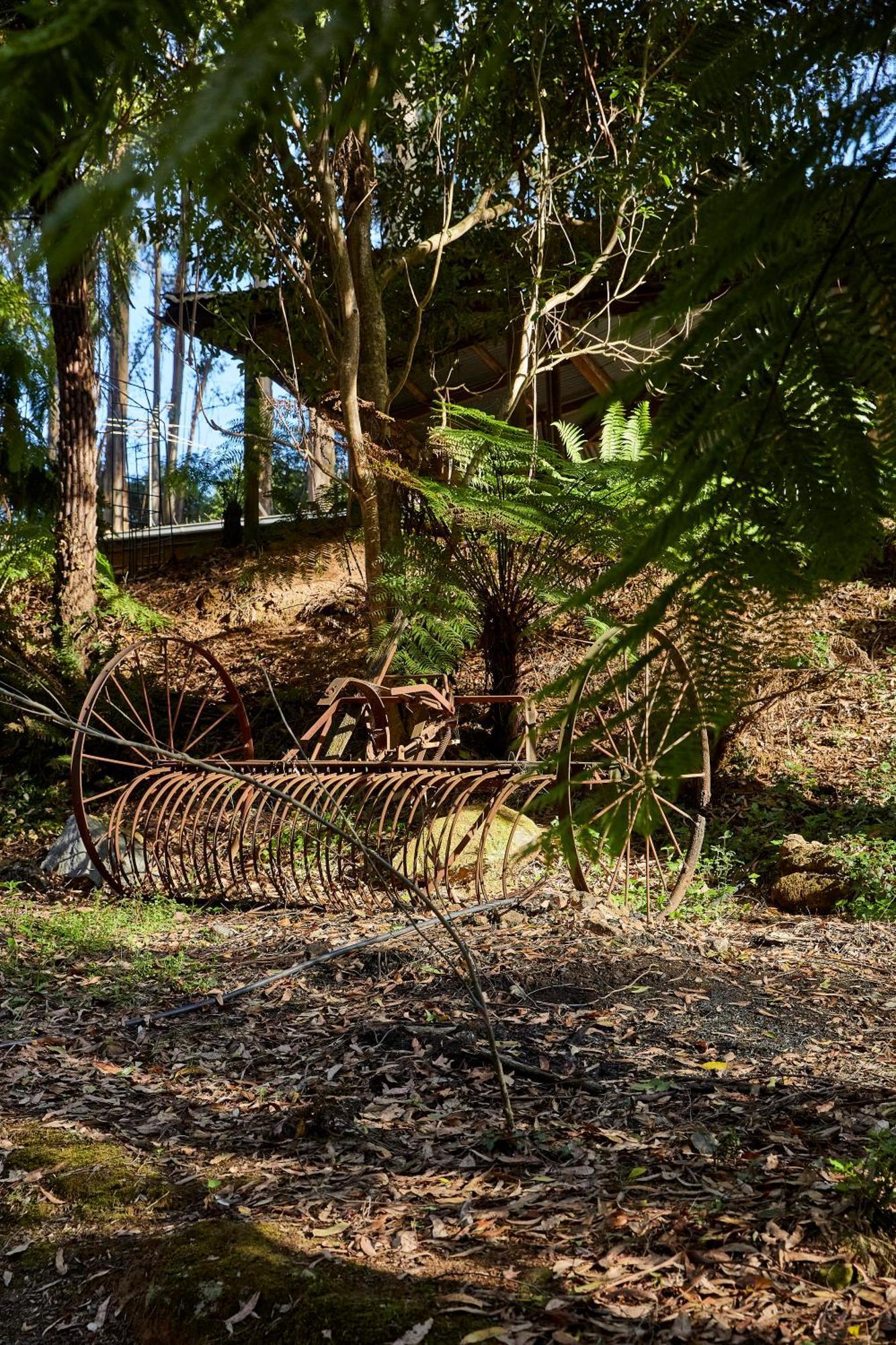The Fernglen Forest Retreat Mount Dandenong Exteriör bild